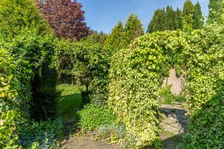 Foto 31 van Weijen 15