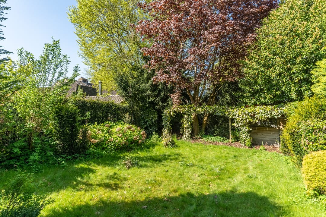 Foto 32 van Weijen 15