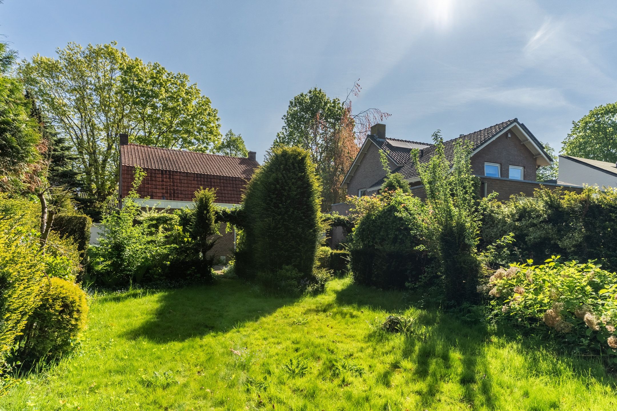 Foto 33 van Weijen 15