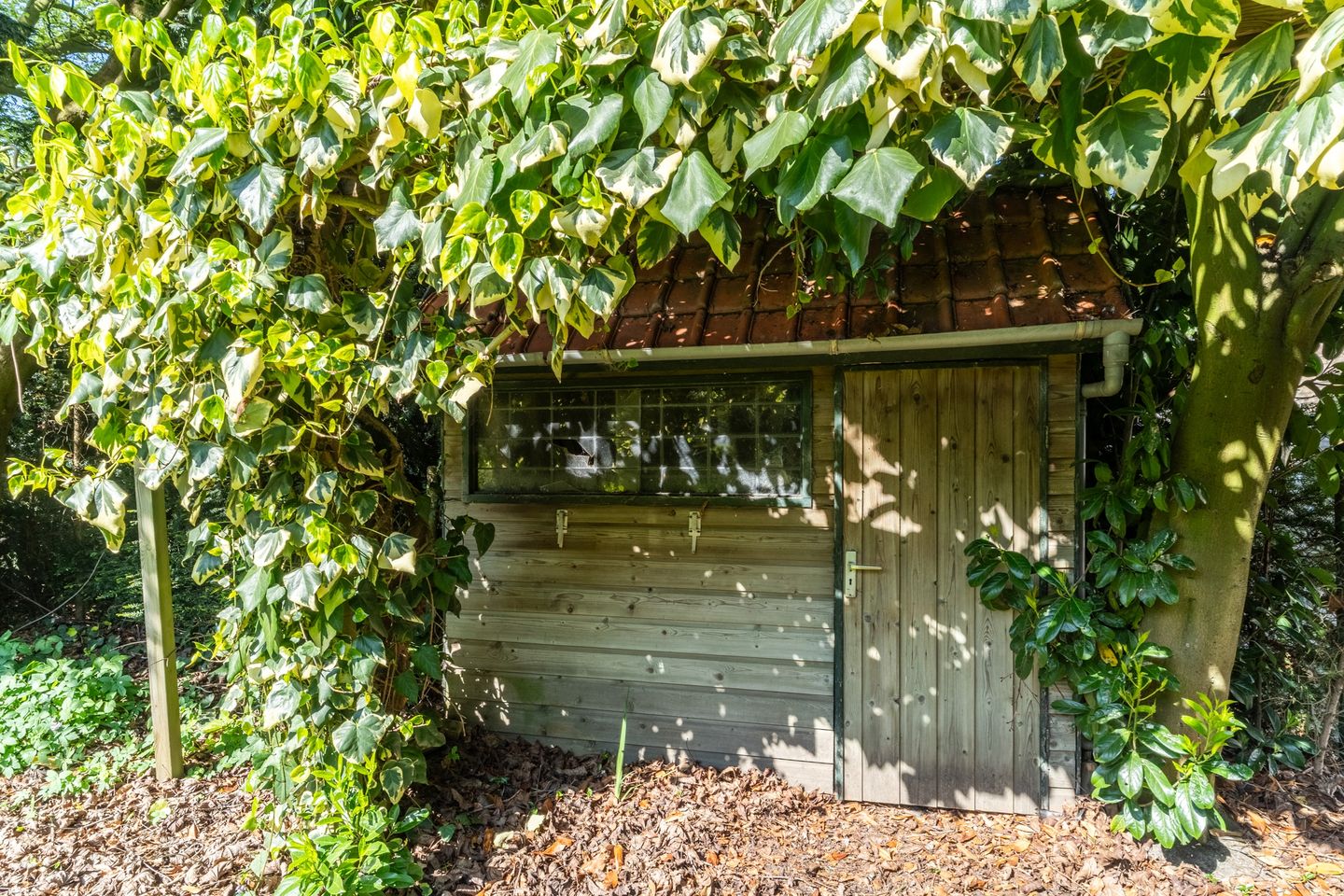 Foto 34 van Weijen 15