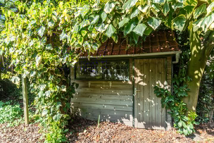 Foto 34 van Weijen 15