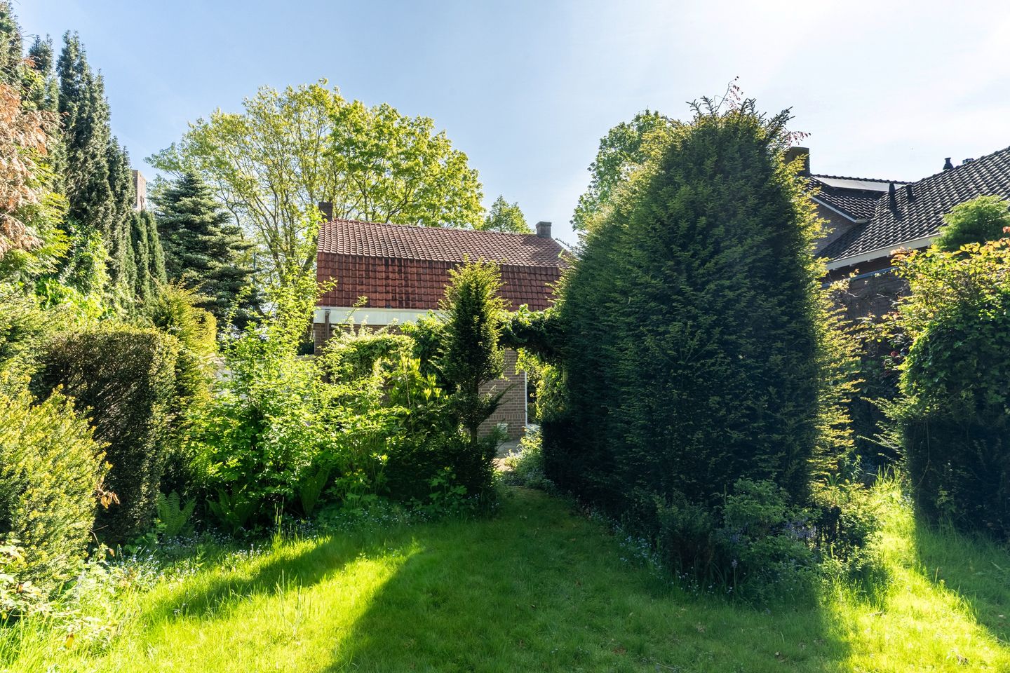 Foto 35 van Weijen 15