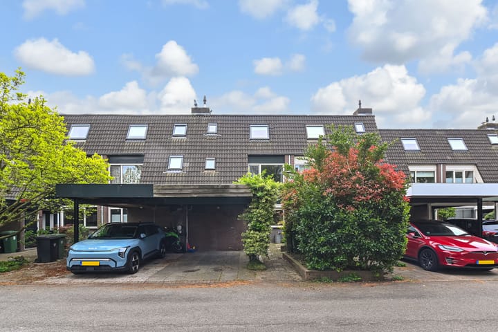 Foto 2 van Muurbloemtuin 48