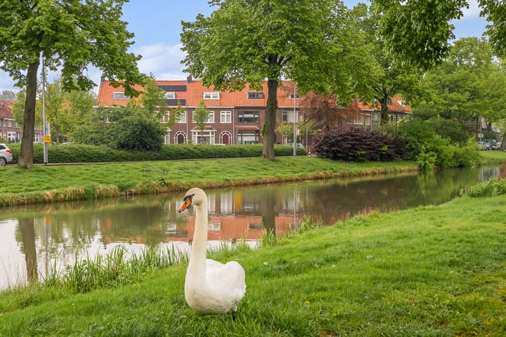 Foto 60 van Viottakade 19