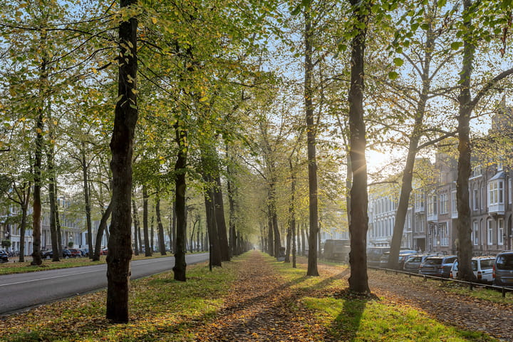 Foto 36 van Adriaanstraat 65