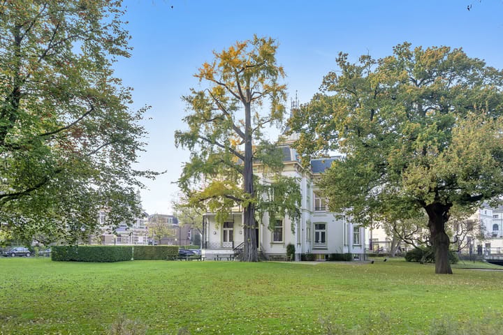 Foto 40 van Adriaanstraat 65