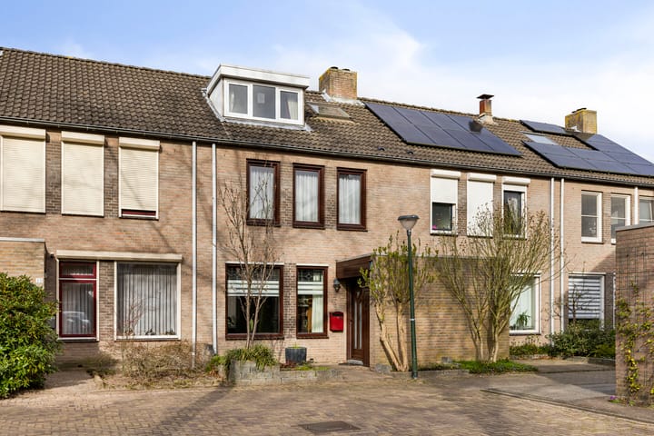 undefined main image