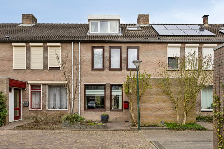 Foto 27 van Schutsboom 26