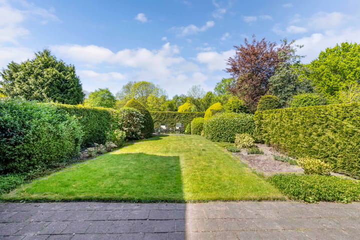 Foto 2 van Geelgors 9