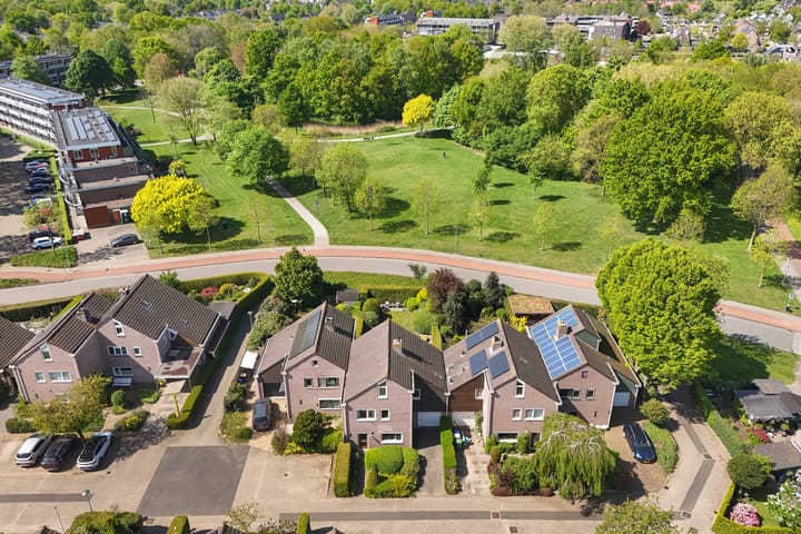 Foto 4 van Geelgors 9