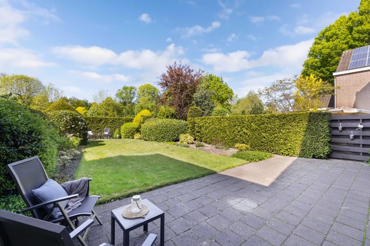 Foto 13 van Geelgors 9