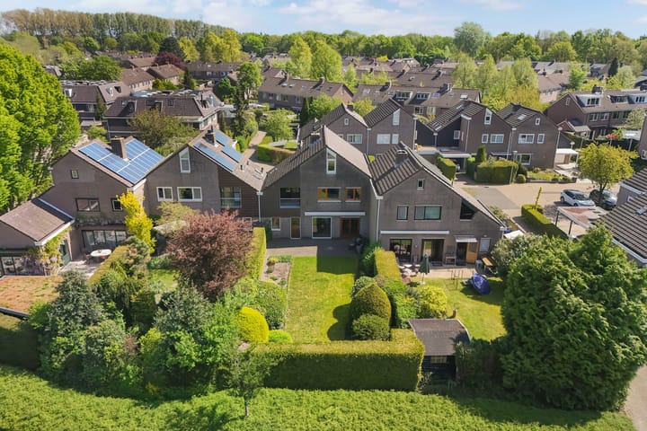 Foto 18 van Geelgors 9