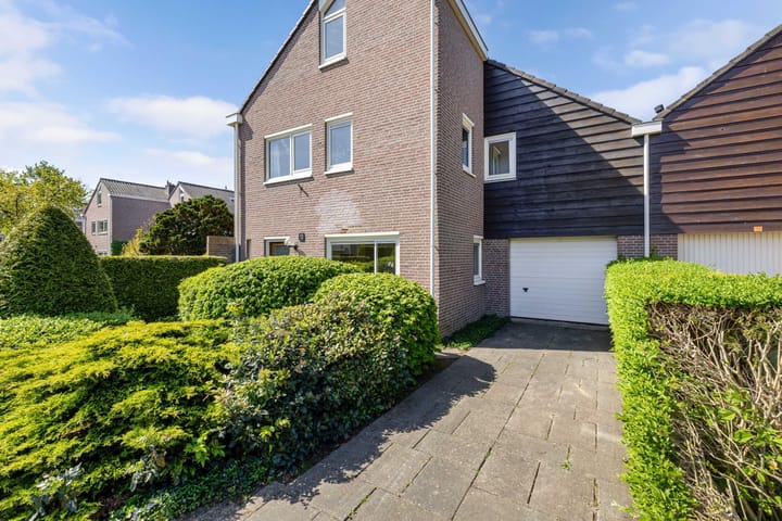 Foto 41 van Geelgors 9