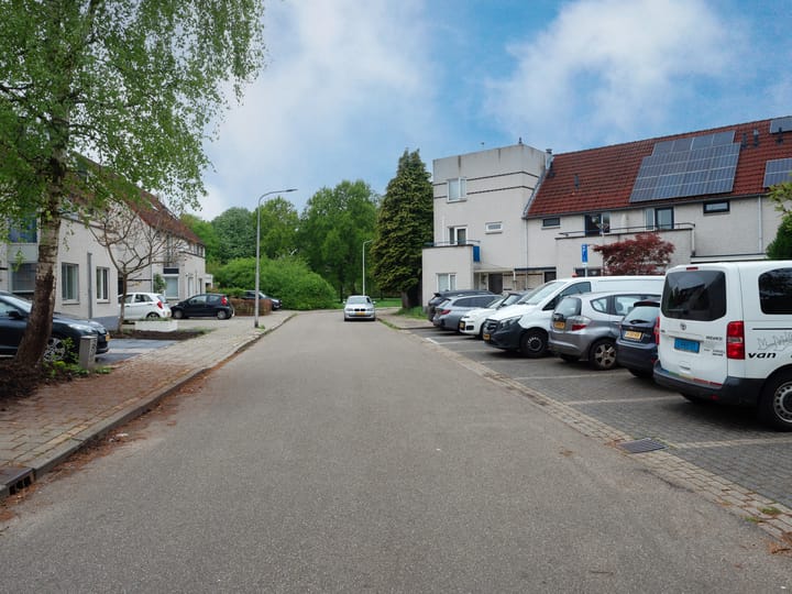 Foto 24 van Leuvensbroek 1203