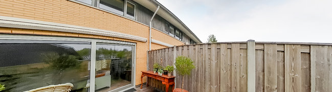 Achtertuin