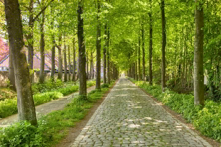 Photo 41 of Sint Vincentiusstraat 97