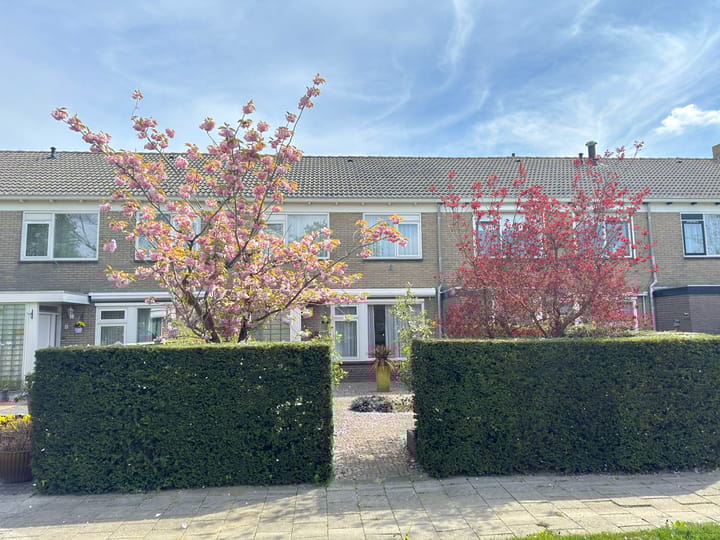 Foto 1 van Mecklenburglaan 6