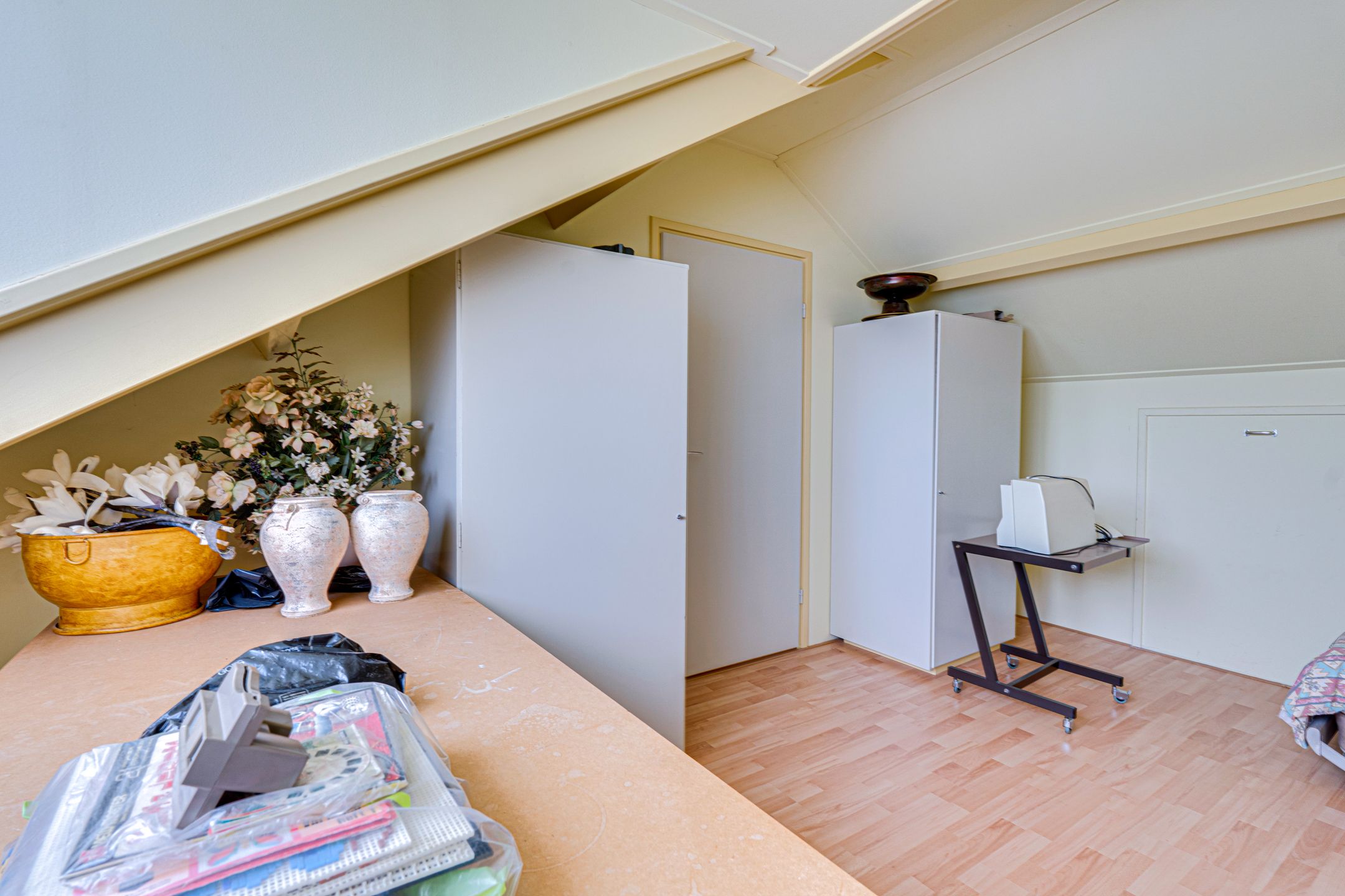 Foto 54 van Mecklenburglaan 6