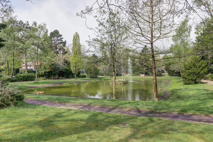 Photo 3 of Oranje Nassauplein 12