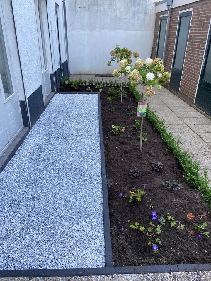 Foto 21 van Muurhuizen 209-A