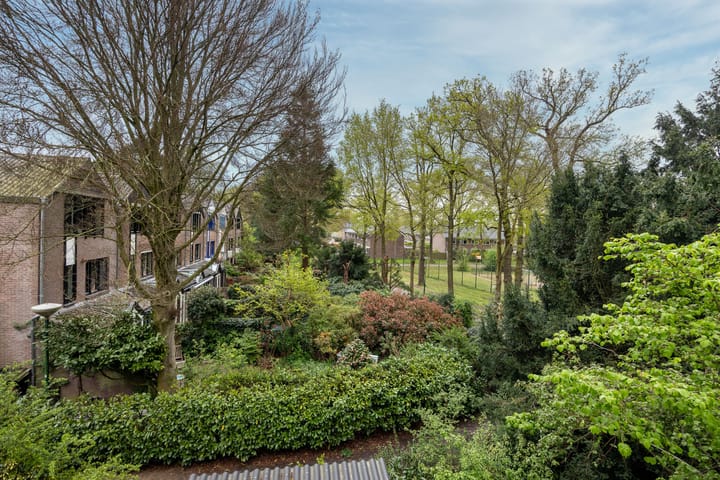 Foto 18 van Iepenlaan 79