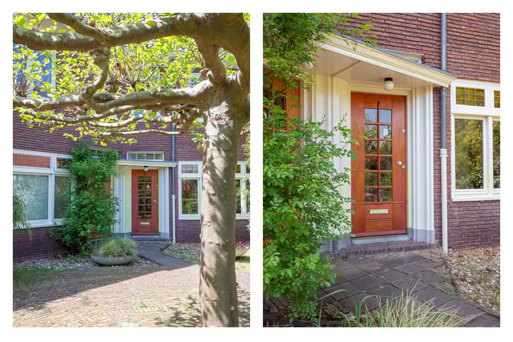 Foto 3 van Jan Willem Frisolaan 8