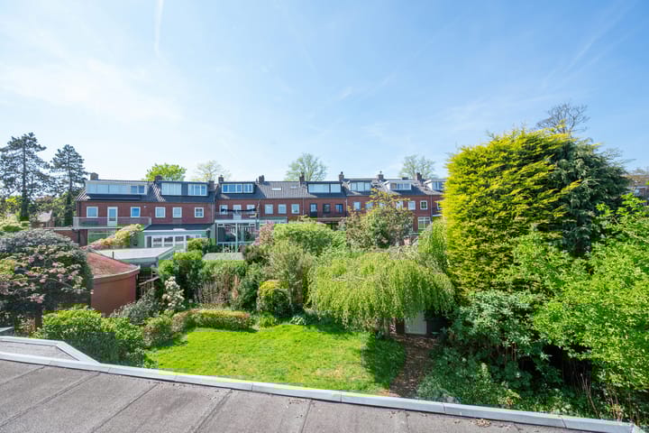 Foto 40 van Jan Willem Frisolaan 8