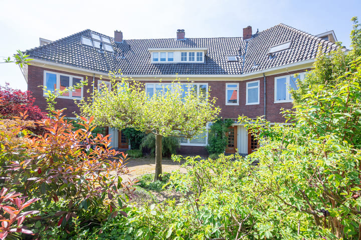 Foto 60 van Jan Willem Frisolaan 8