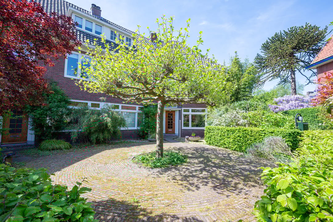 Foto 62 van Jan Willem Frisolaan 8