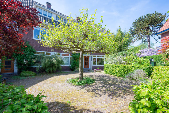 Foto 62 van Jan Willem Frisolaan 8