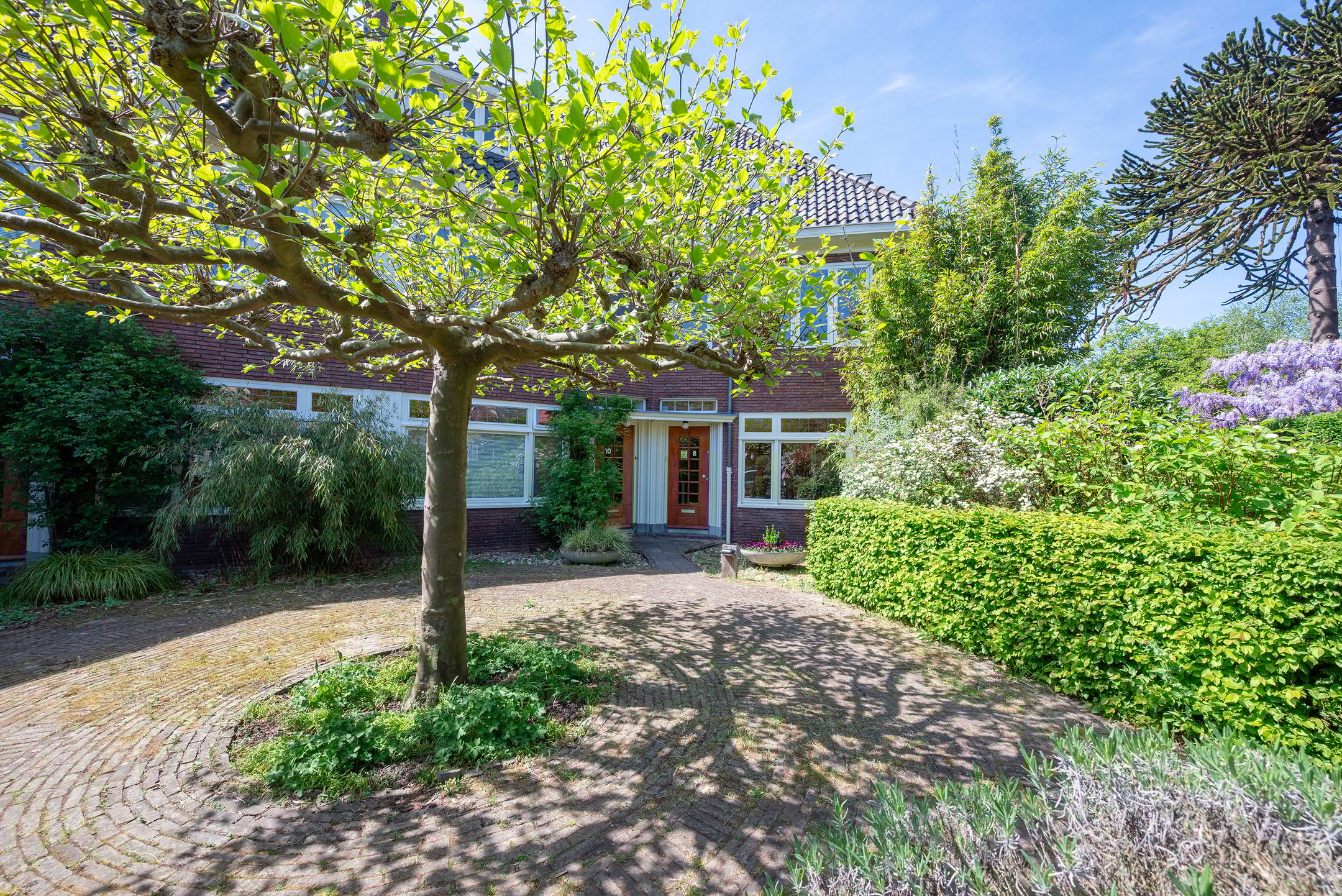 Foto 63 van Jan Willem Frisolaan 8