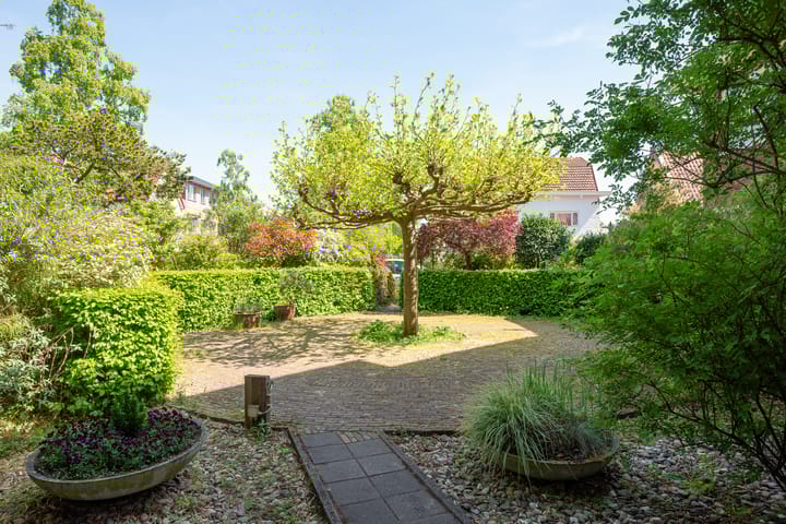 Foto 65 van Jan Willem Frisolaan 8