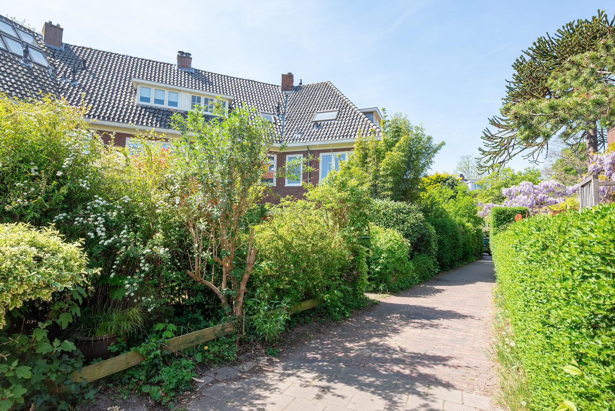 Foto 66 van Jan Willem Frisolaan 8