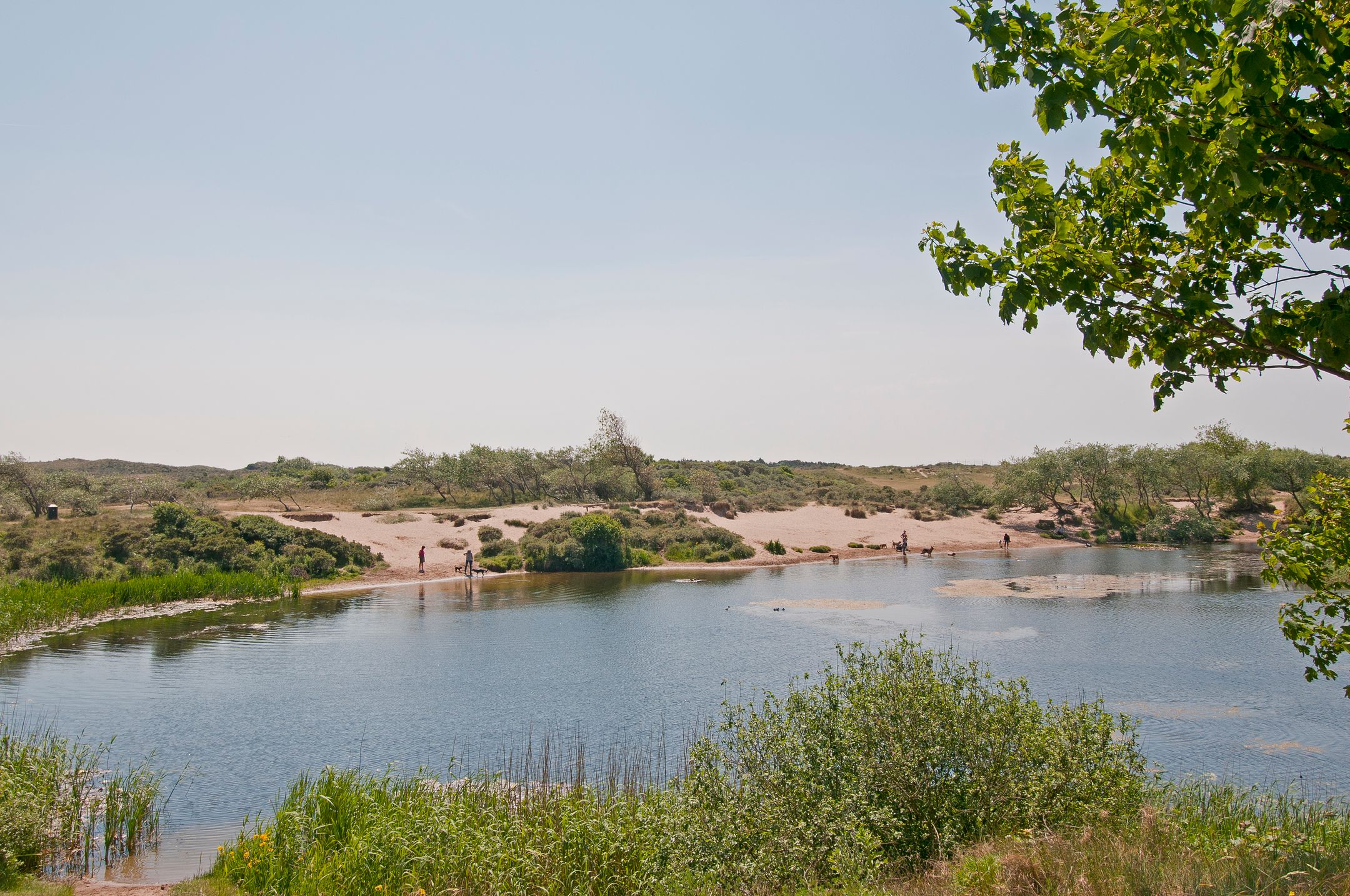 Foto 69 van Jan Willem Frisolaan 8