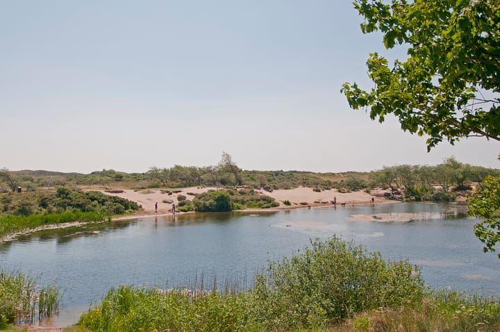 Foto 69 van Jan Willem Frisolaan 8