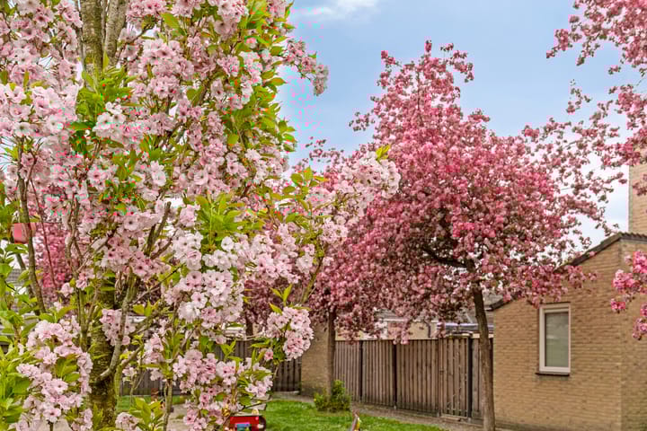 Foto 25 van Maaskanterf 18