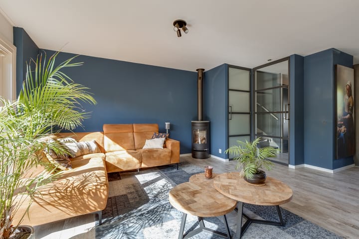 Foto 11 van Dilleveld 47