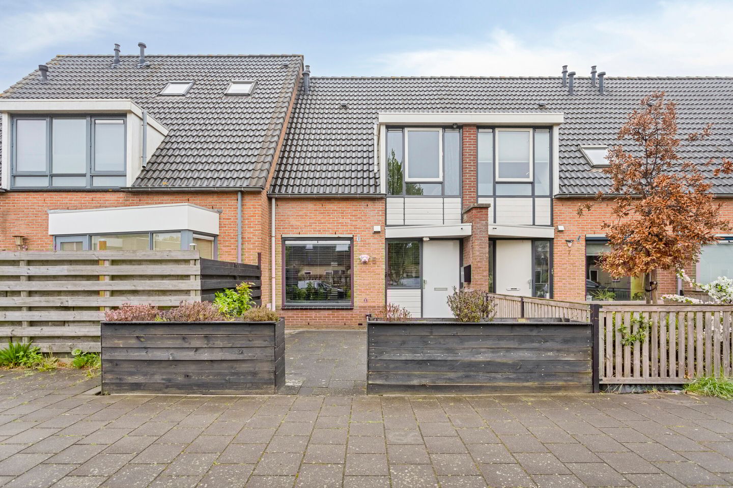 Foto 1 van Waterdrieblad 5