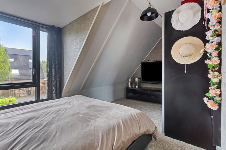 Foto 4 van Waterdrieblad 5