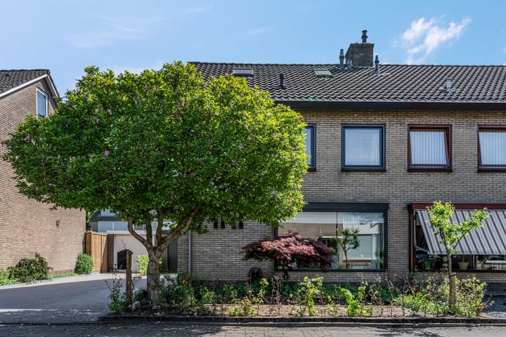 Photo 55 of Orion 17