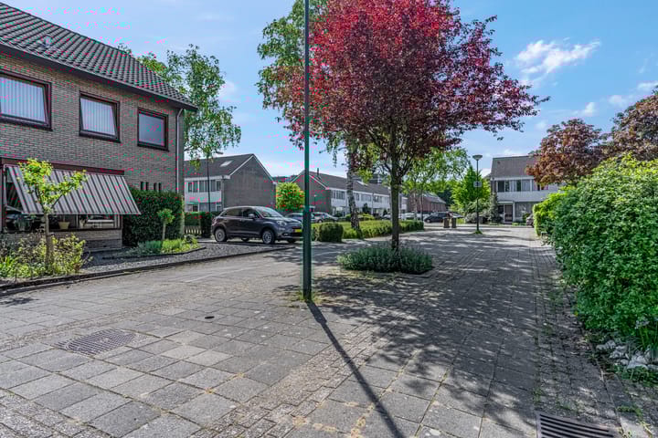 Photo 56 of Orion 17