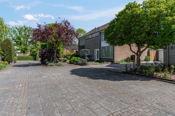 Photo 57 of Orion 17