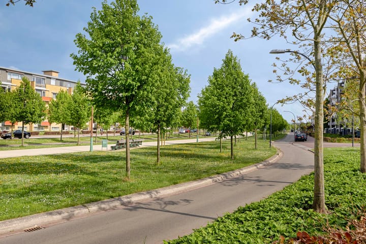 Foto 16 van Oranjeplein 261