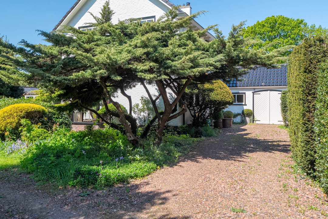 Photo 56 of Holsteinslaan 13