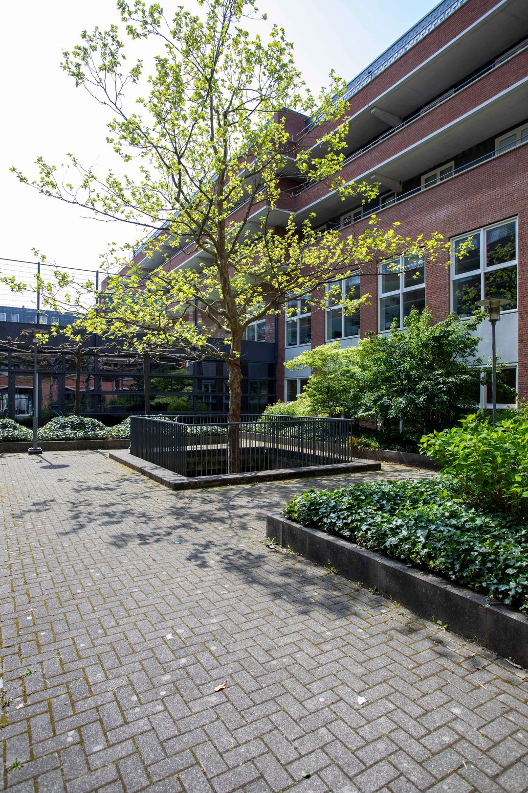 Foto 23 van Balboastraat 1