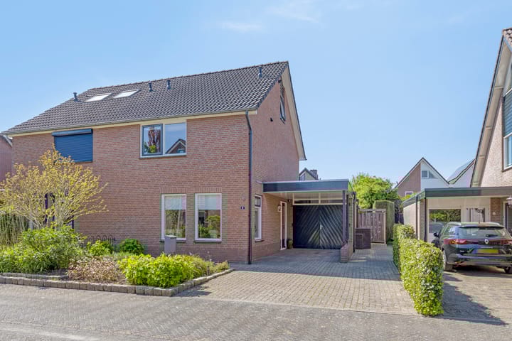 Foto 7 van Denneappel 4