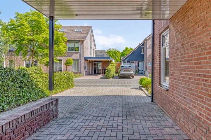 Foto 10 van Denneappel 4