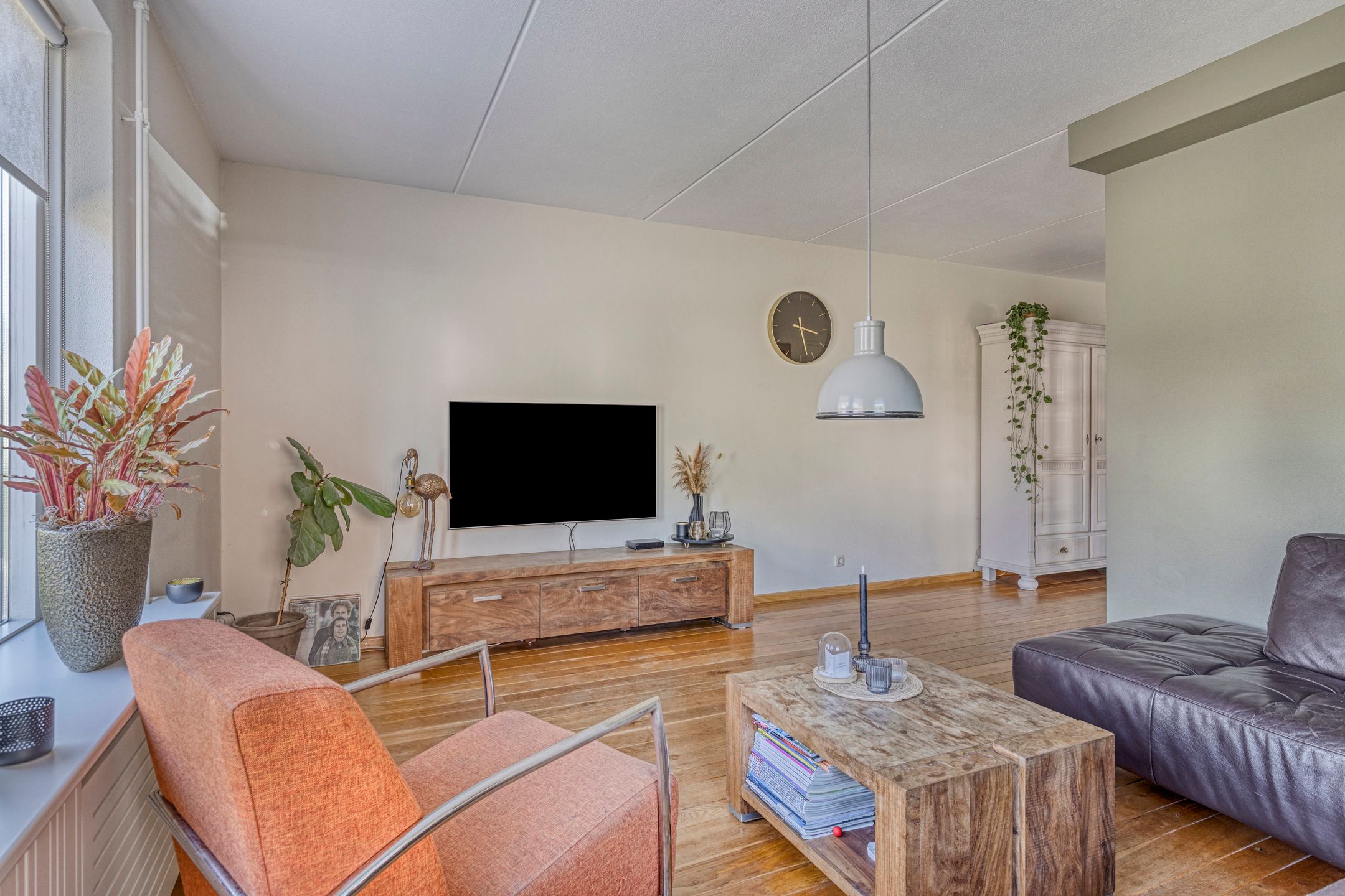 Foto 15 van Denneappel 4