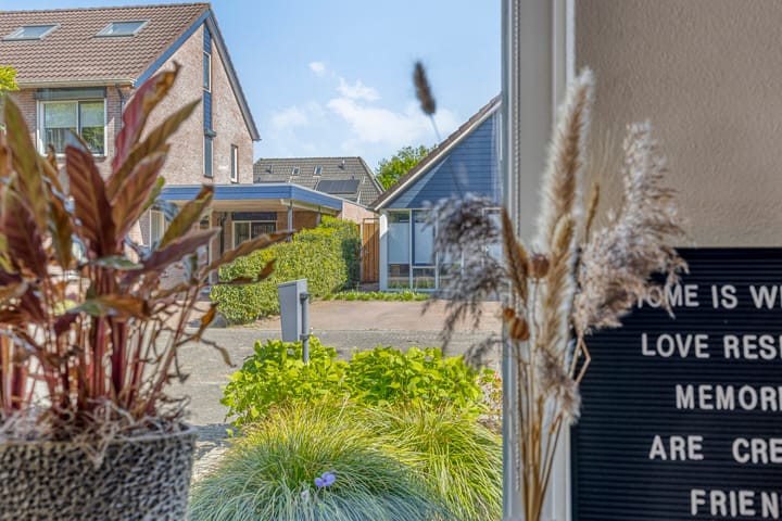 Foto 16 van Denneappel 4