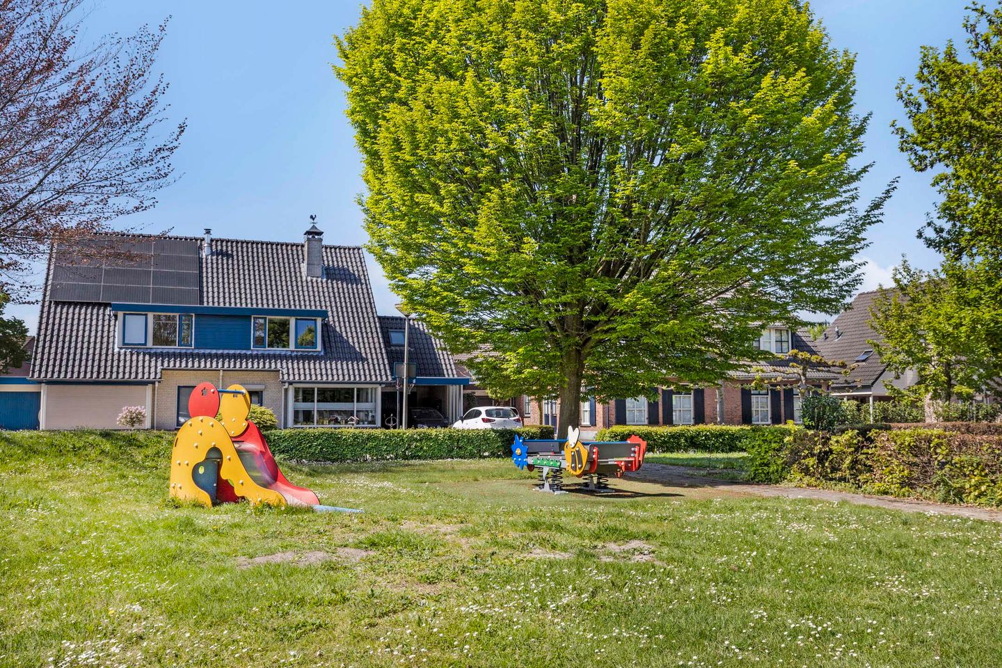 Foto 40 van Denneappel 4